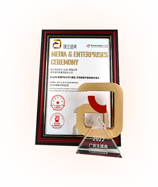 年度整合营销金案